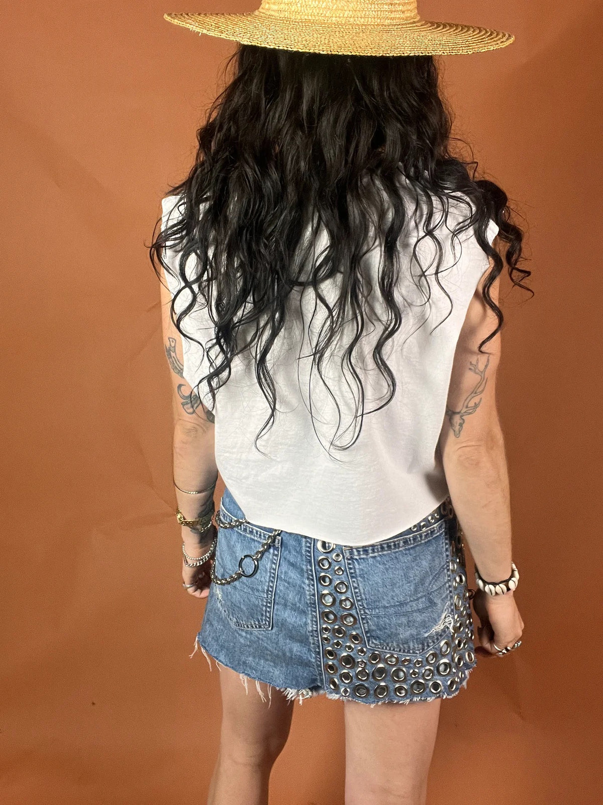Aerosmith Side Stripe Crop Tank Top