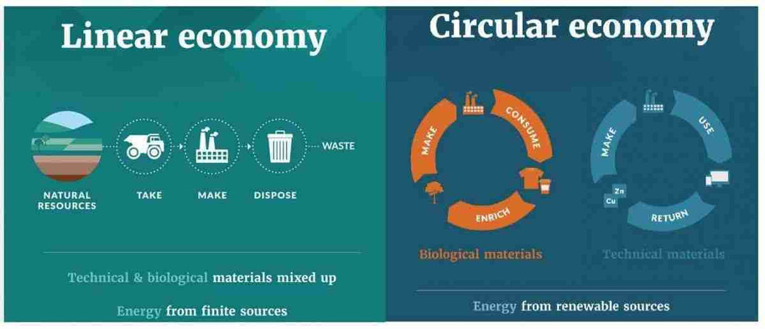 The Principles of the Circular Economy and How It Affects Your Business