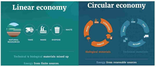 The Principles of the Circular Economy and How It Affects Your Business