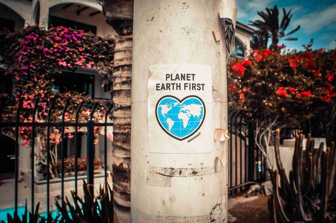 Why Inclusive Sustainability is the Pathway to Lasting Change