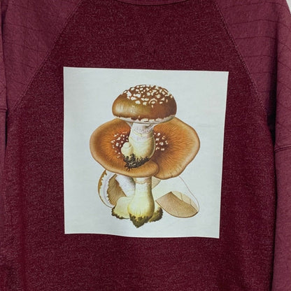 Upcycled Hand Printed Women XL Spodoleucus Oyster Mushroom PolyCotton Sweatshirt