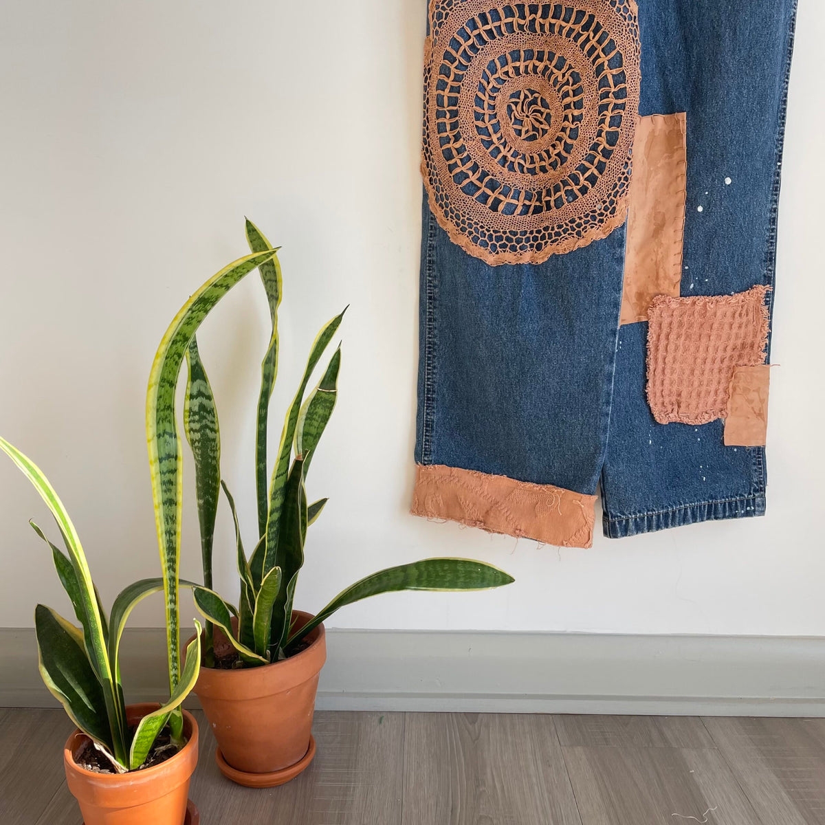 A pair of denim pants hanging on a wall next to a potted plant.