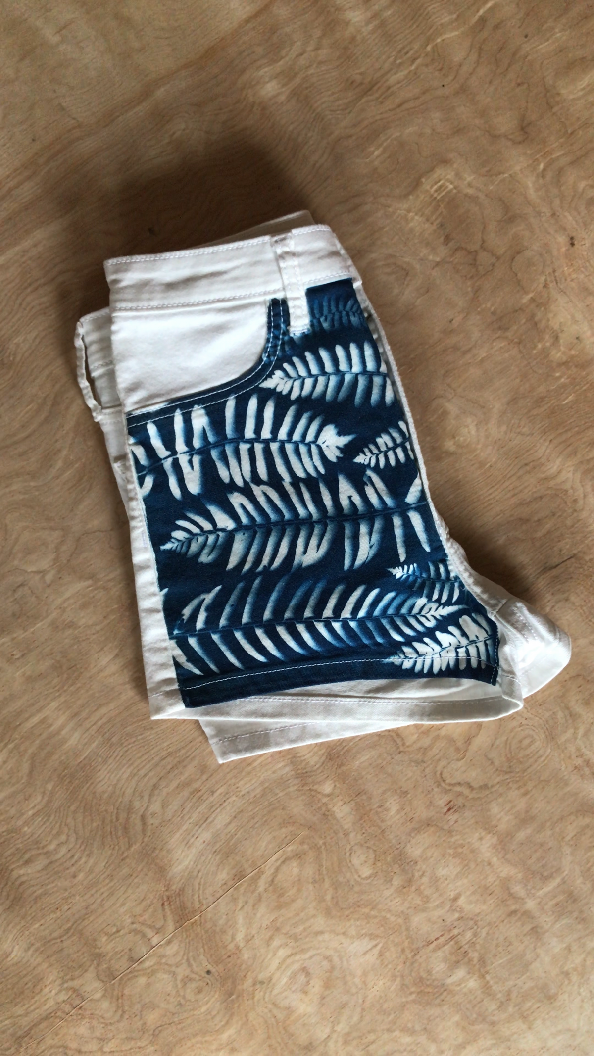 Cyanotype Fern Print Bleached Summer Shorts