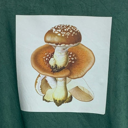 Upcycled Hand Printed Womens Medium Spodoleucus Oyster Mushroom Sweatshirt