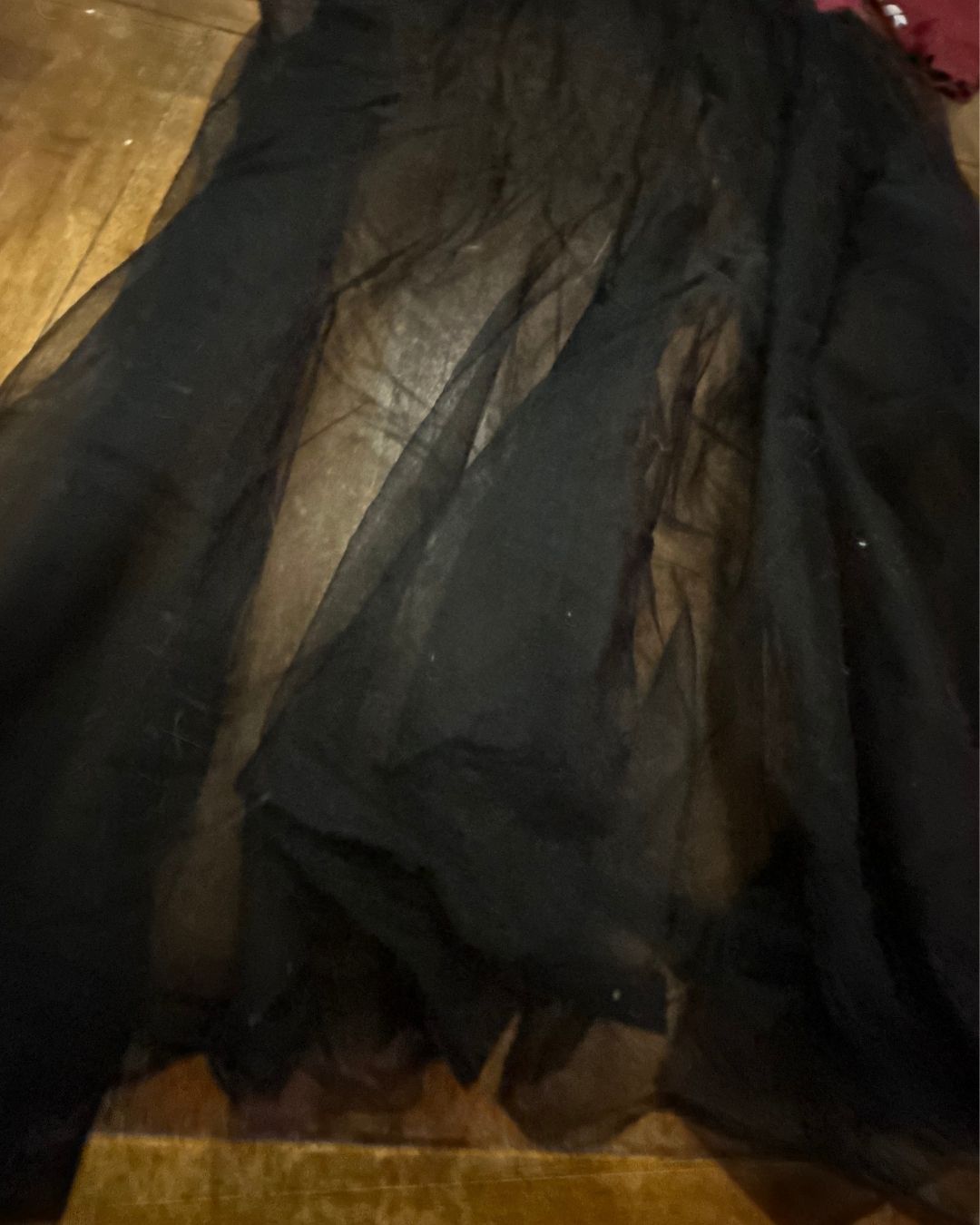 Betty in Paris Sheer Skirt Hoodie Dress by The Modern Alien, photo 6