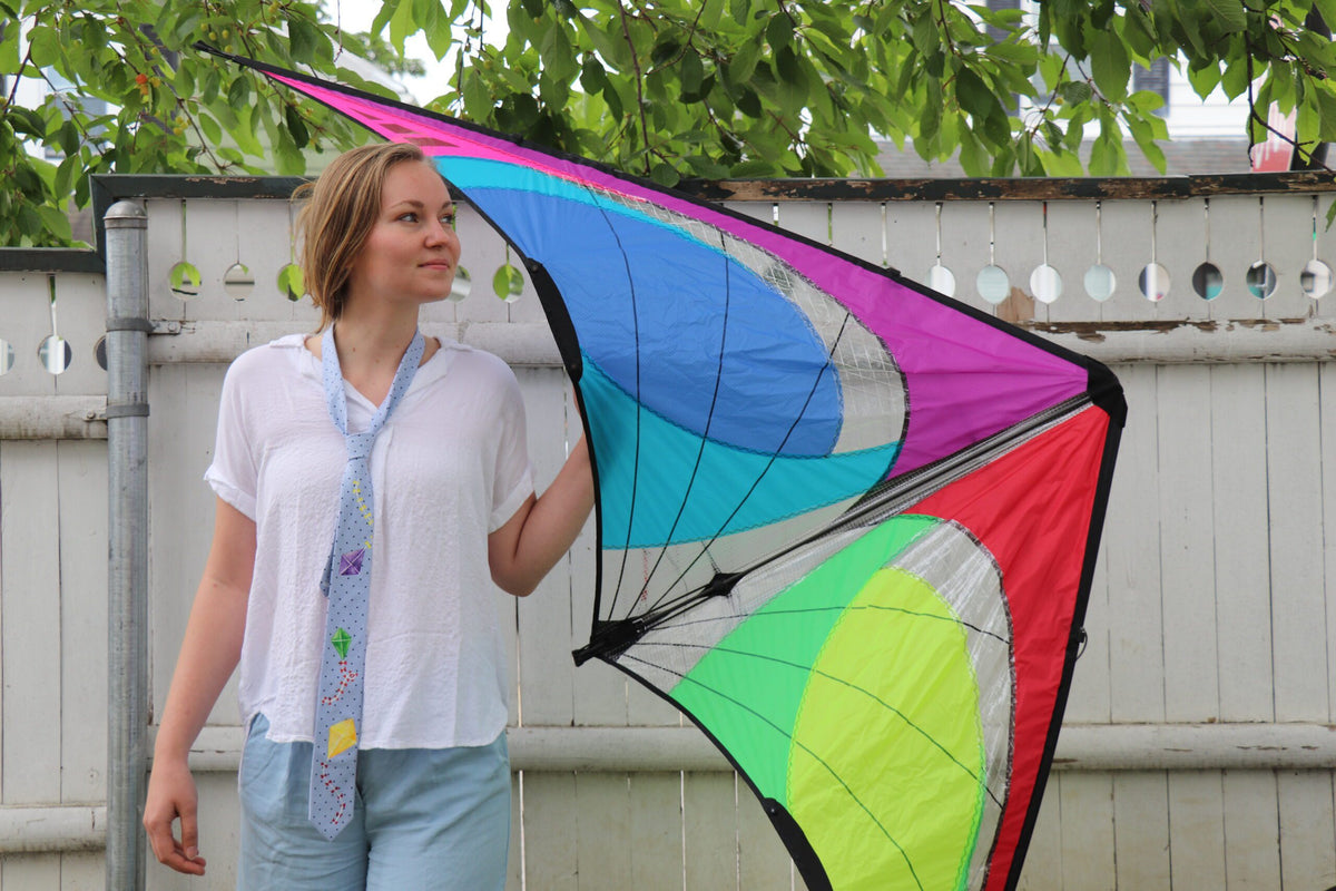 Let's Go Fly A Kite hand-painted skinny tie