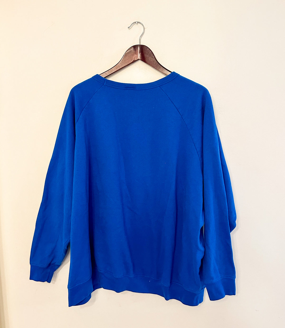 A blue sweatshirt hanging on a hanger.
