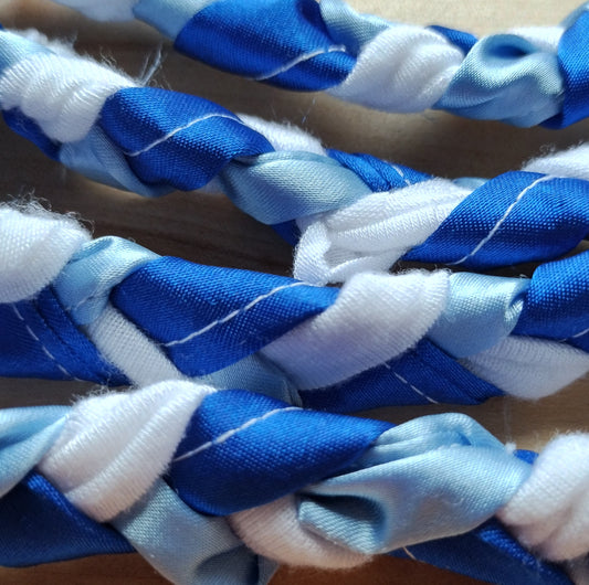 Sailor Mercury Lanyard