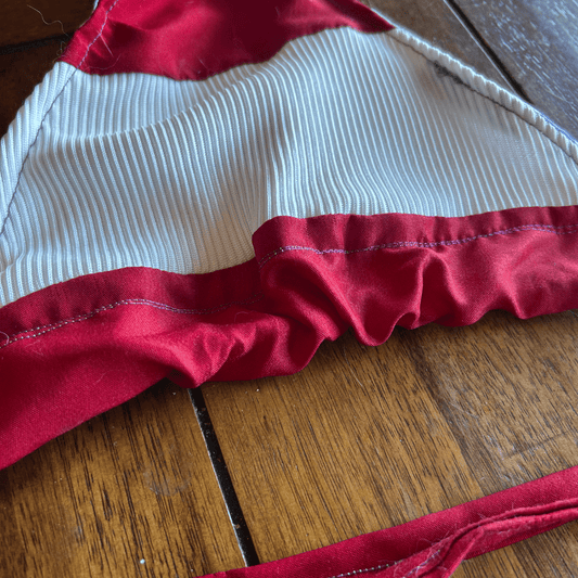 Reworked American Flag Bikini Top + Shorts Set – Upcycled Patriotic Loungewear | One-of-a-Kind | Handmade in Arizona ♻️ Born to Be Bold – Only 1 Available
