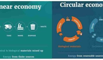 The Principles of the Circular Economy and How It Affects Your Business