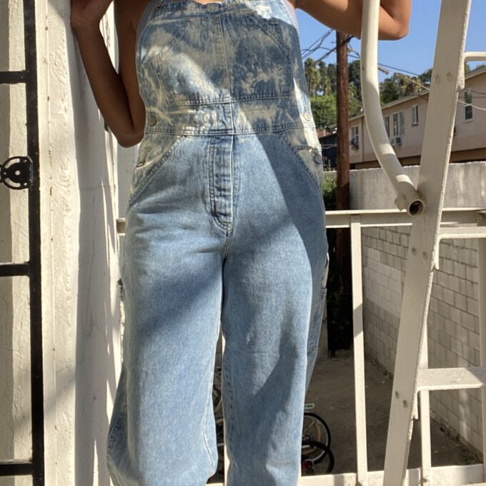 A woman in overalls standing on a ladder.