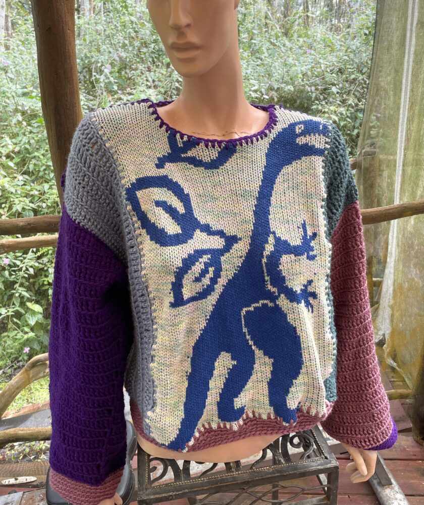 Sweater with a dinosaur on it.